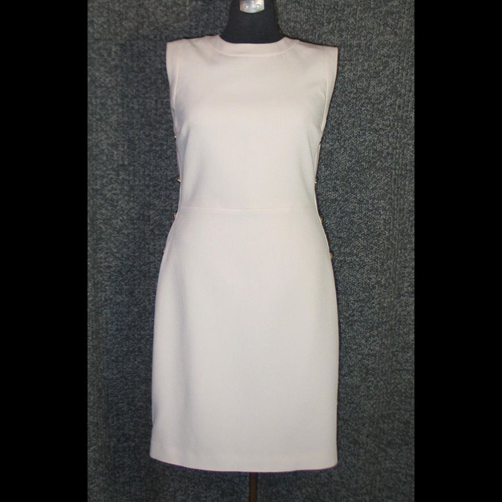 Club Monaco Function worthy Summer Dress D0057